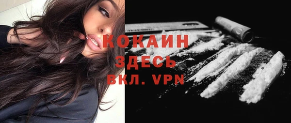шишки Семилуки