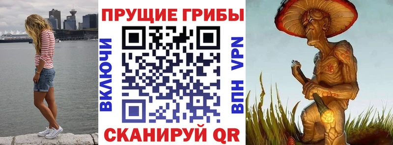 MEGA маркетплейс  где купить наркоту  Алагир  Псилоцибиновые грибы GOLDEN TEACHER 